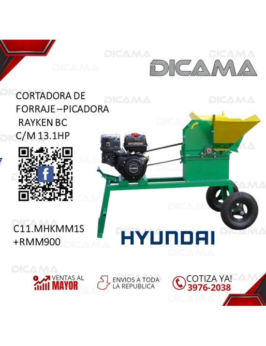 CORTADORA DE FORRAJE -PICADORA RAYKEN BC C/M 13.1HP