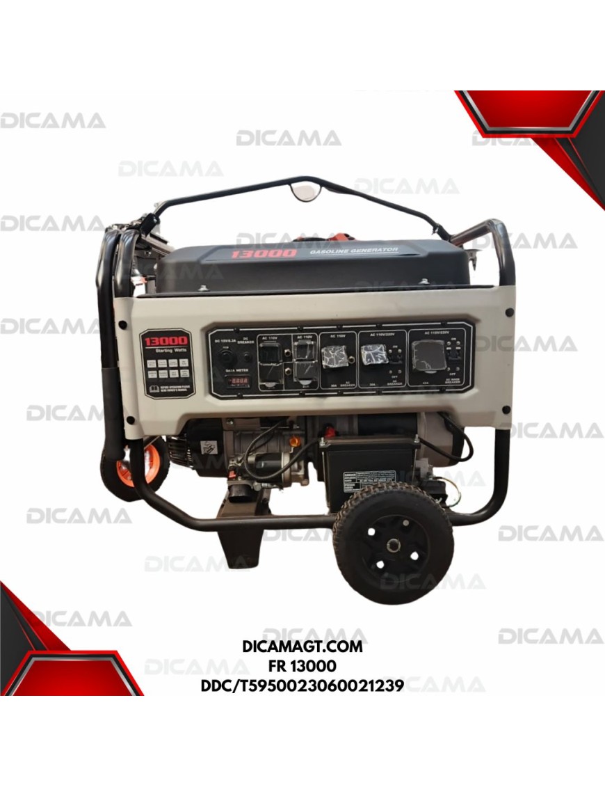 GENERADOR ELECTRICO 13,000 WATTS/22HP FR 13000 DDC FREEDOM FR 13000 DDC/T5950023060021239