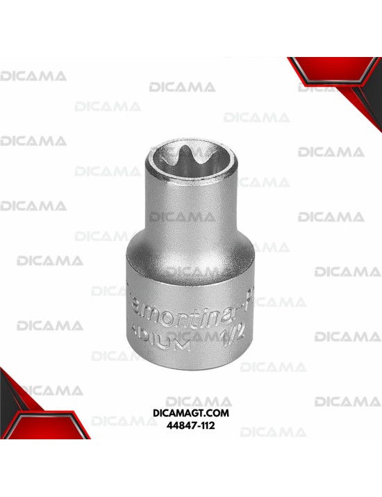 COPA RAIZ 1/2  E12 PUNTA TRAFIX HEMBRA TRAMONTINA 44847-112