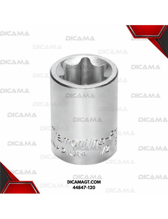 COPA RAIZ 1/2  E20 PUNTA TRAFIX HEMBRA TRAMONTINA 44847-120