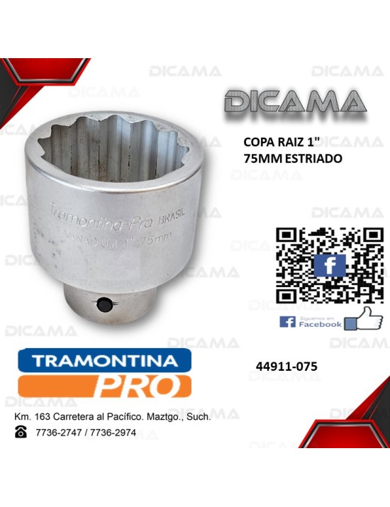 COPA RAIZ 1" 75MM ESTRIADO