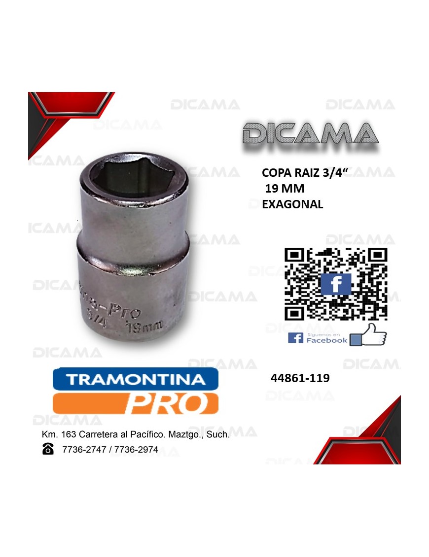 COPA RAIZ 3/4" 19MM HEXAGONAL
