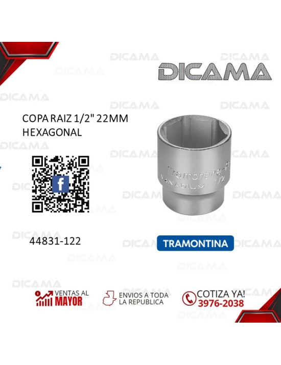 COPA RAIZ 1/2" 22MM HEXAGONAL