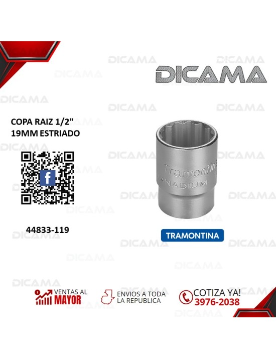 COPA RAIZ 1/2" 19MM ESTRIADO