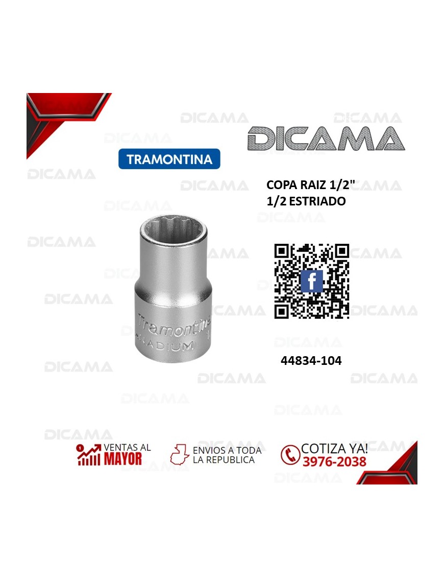 COPA RAIZ 1/2"  1/2 ESTRIADO