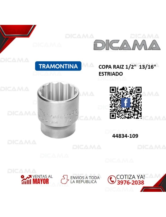 COPA RAIZ 1/2"  13/16" ESTRIADO