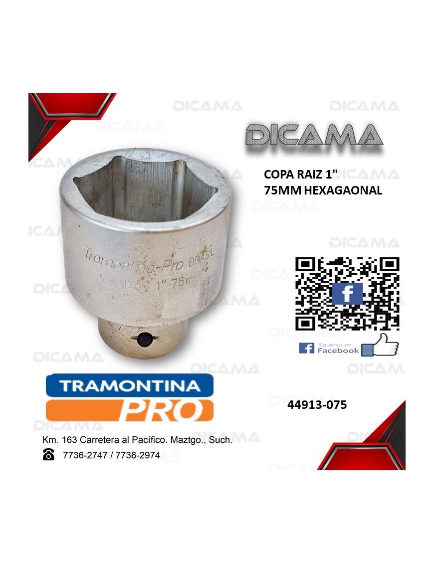 COPA RAIZ 1" 75MM HEXAGAONAL