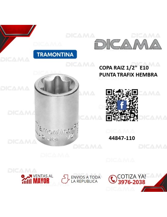 COPA RAIZ 1/2"  E10 PUNTA TRAFIX HEMBRA