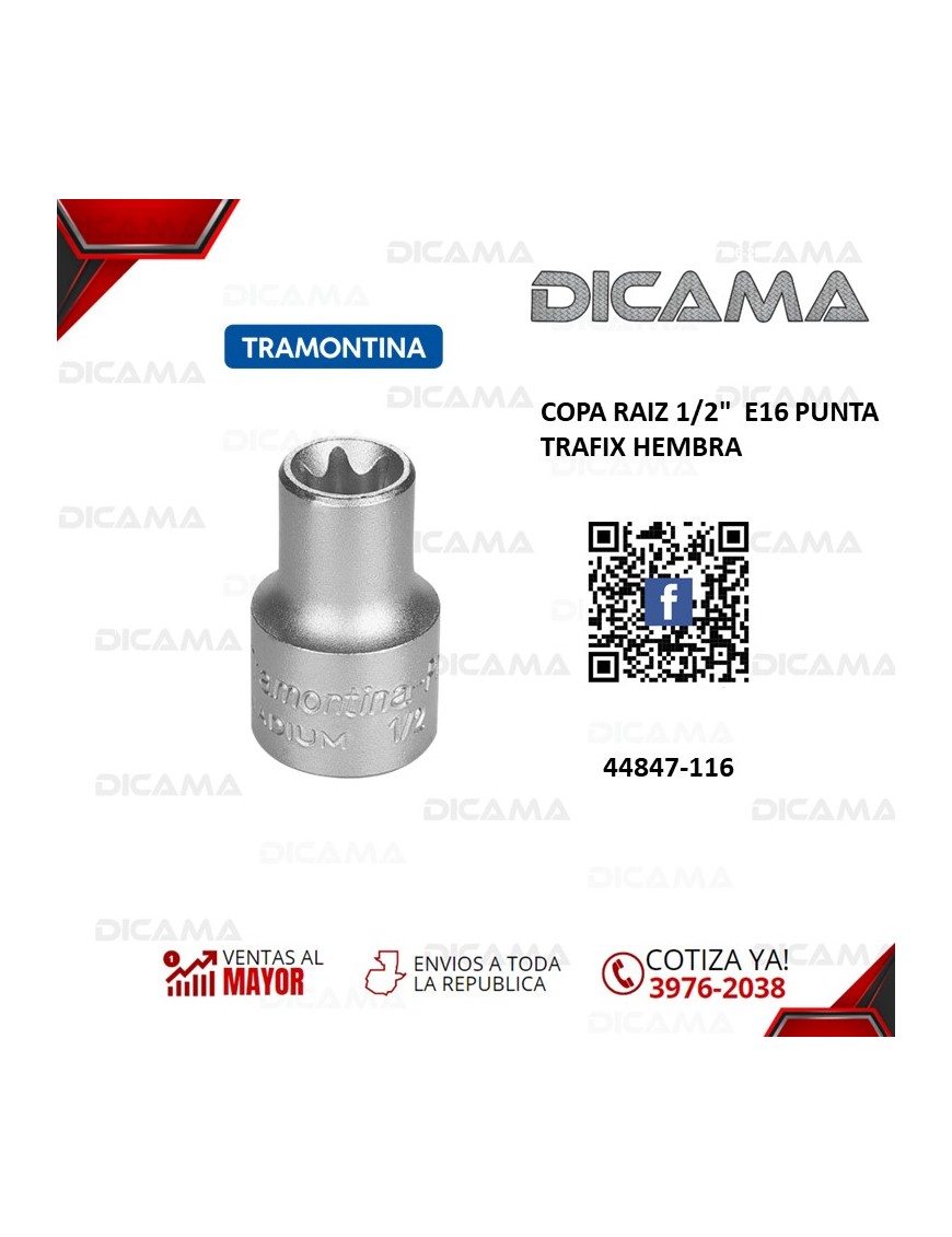 COPA RAIZ 1/2"  E16 PUNTA TRAFIX HEMBRA