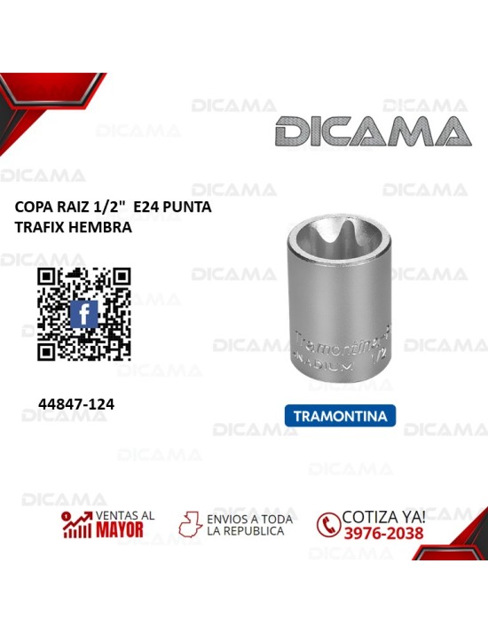 COPA RAIZ 1/2"  E24 PUNTA TRAFIX HEMBRA