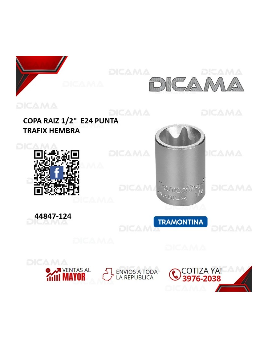COPA RAIZ 1/2"  E24 PUNTA TRAFIX HEMBRA