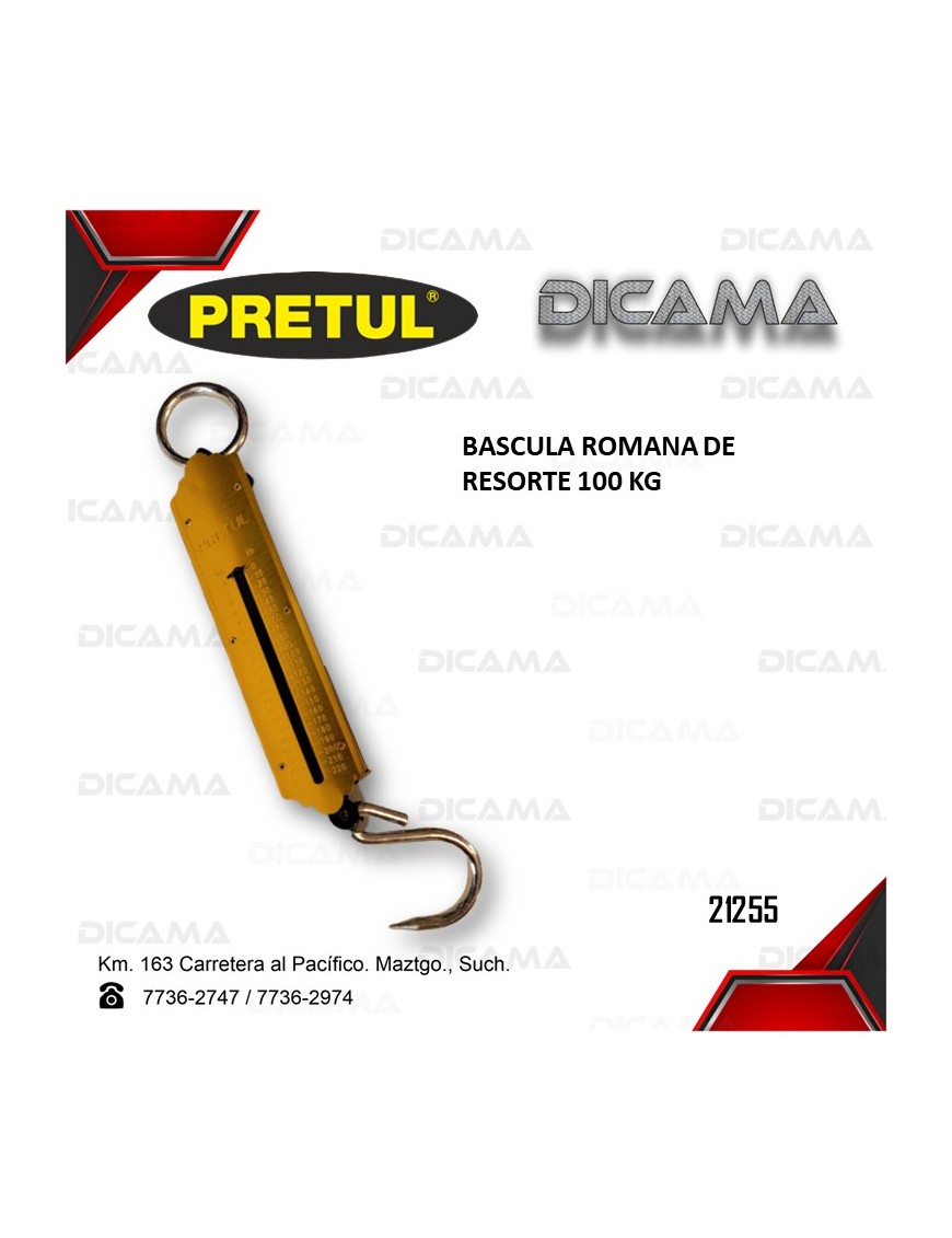 BASCULA ROMANA DE RESORTE 100 KG
